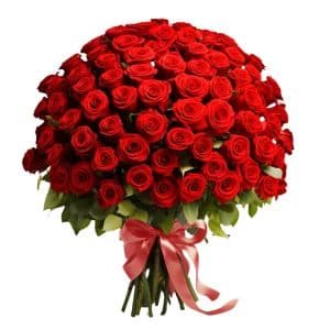 50 Roses Bouquet