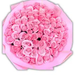 Hundred Rosy Bloom