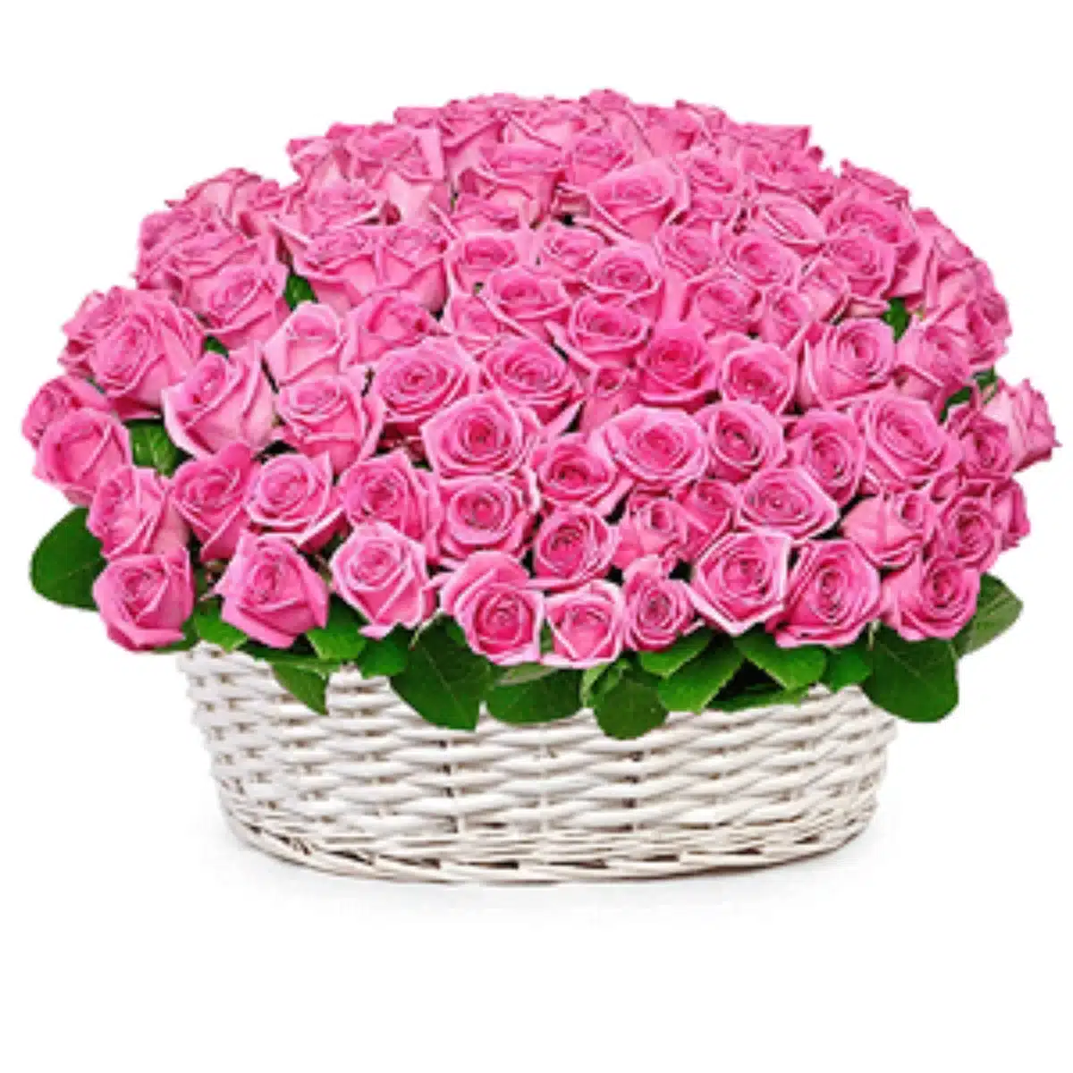 100 Pink Rose in a Basket