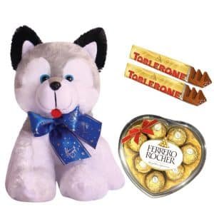 Teddy and Treats