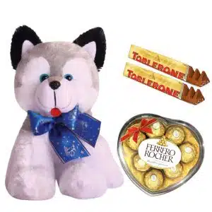Teddy and Treats