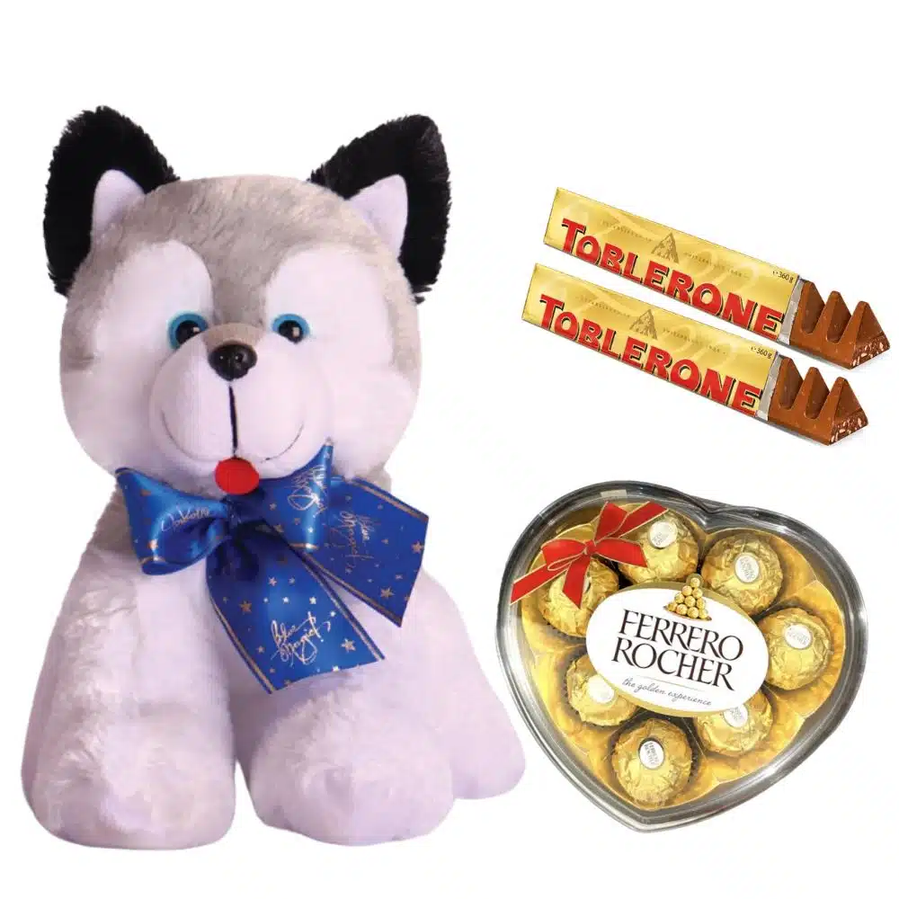 Teddy and Treats