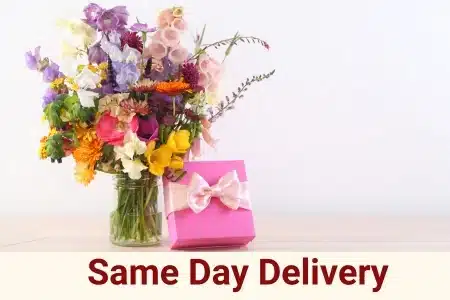 same day delivery