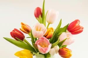 Colorful Flower Arrangement 