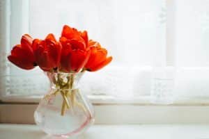 Reviving Wilted Flowers