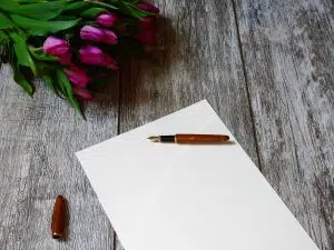 Tulips – A Bright and Joyful Gift