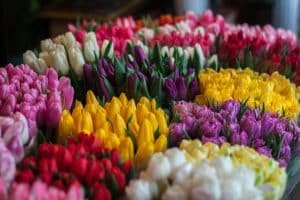 Use Floral Foam for Stability 