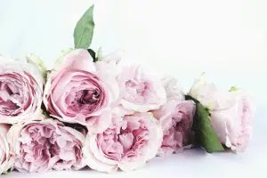 Arabella Flower - A Perfect Mother's Day Gift Idea