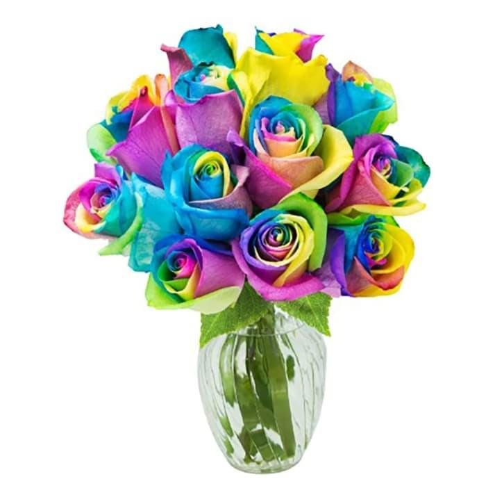 12 pcs rainbow rose in vase