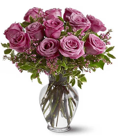 Dramatic Lavender Blossoms