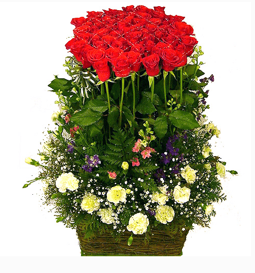 100 Red Rose Basket