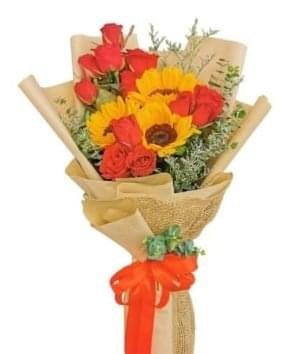 Love Romance in the Sun