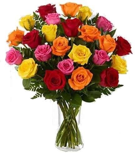 mixed color rose 24 pcs in vase
