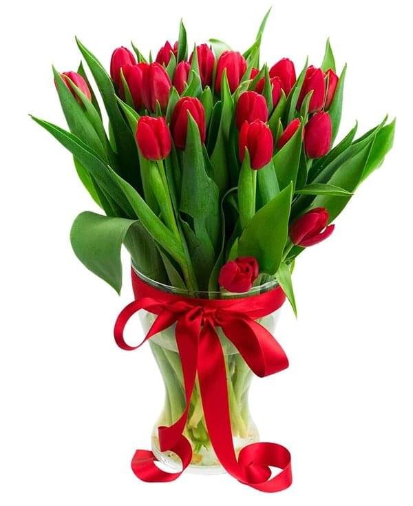 Classic Red Tulip In Vase