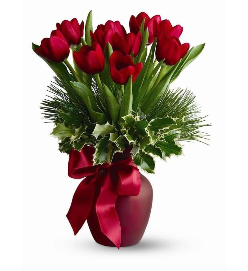 red tulip in vase